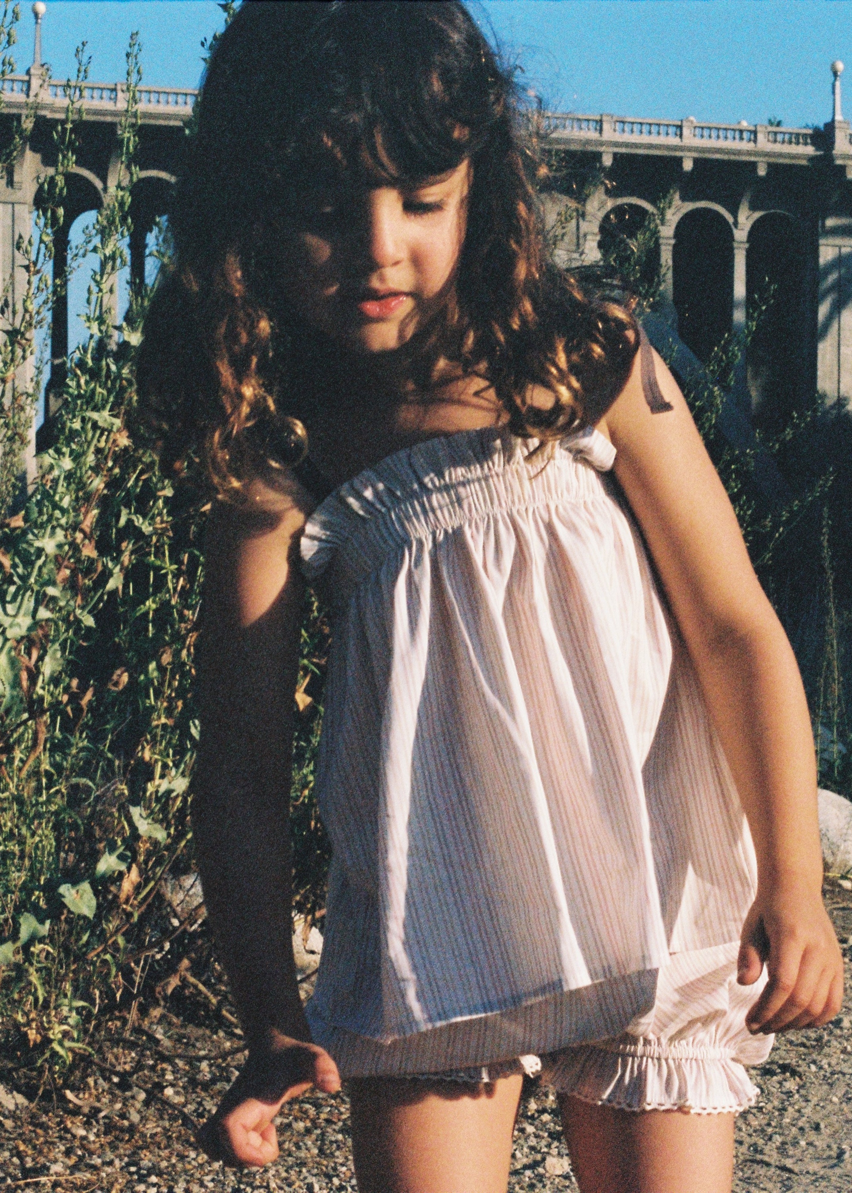 Bloomer Short Lilac Stripe