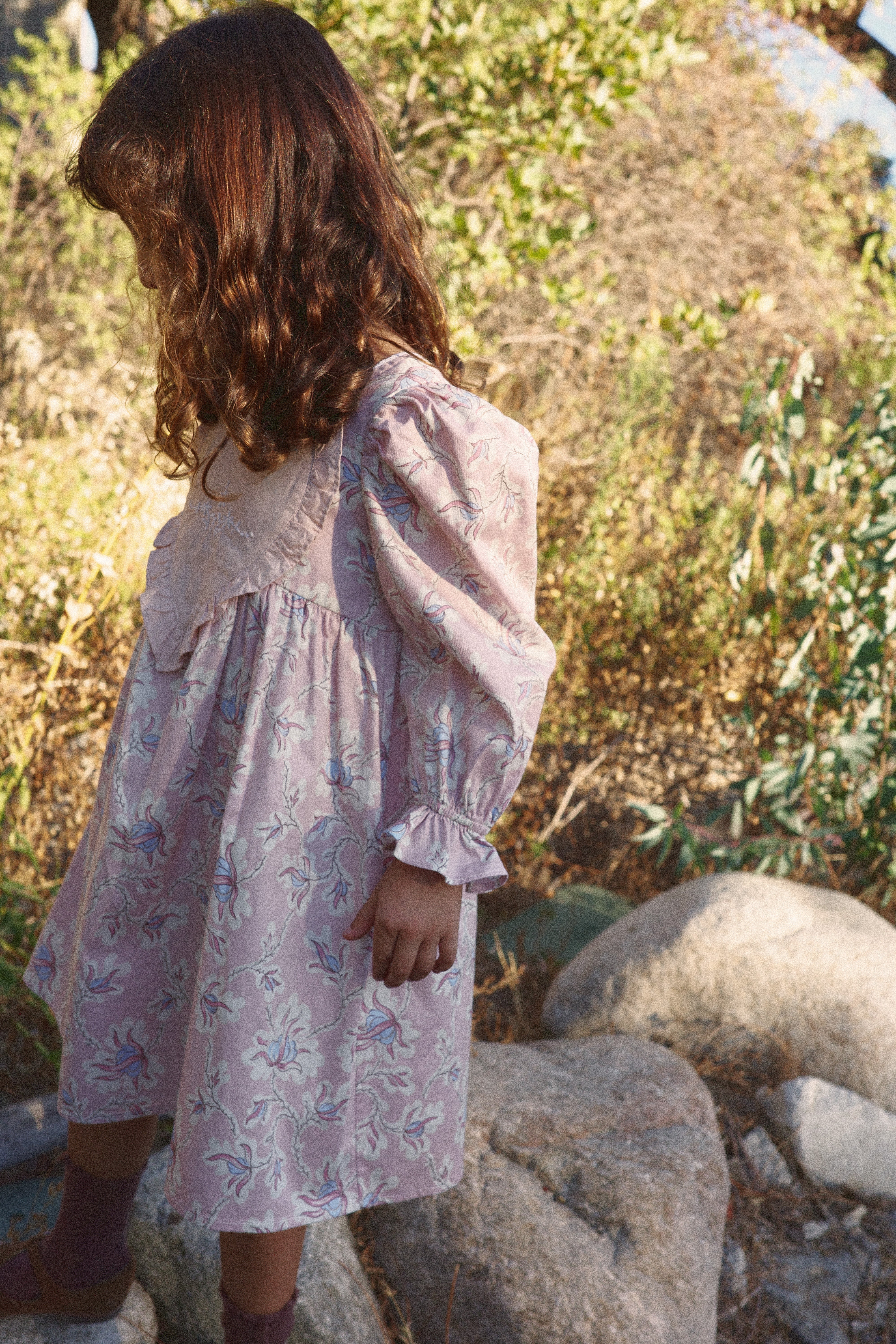 Cora Dress | Rose Trellis