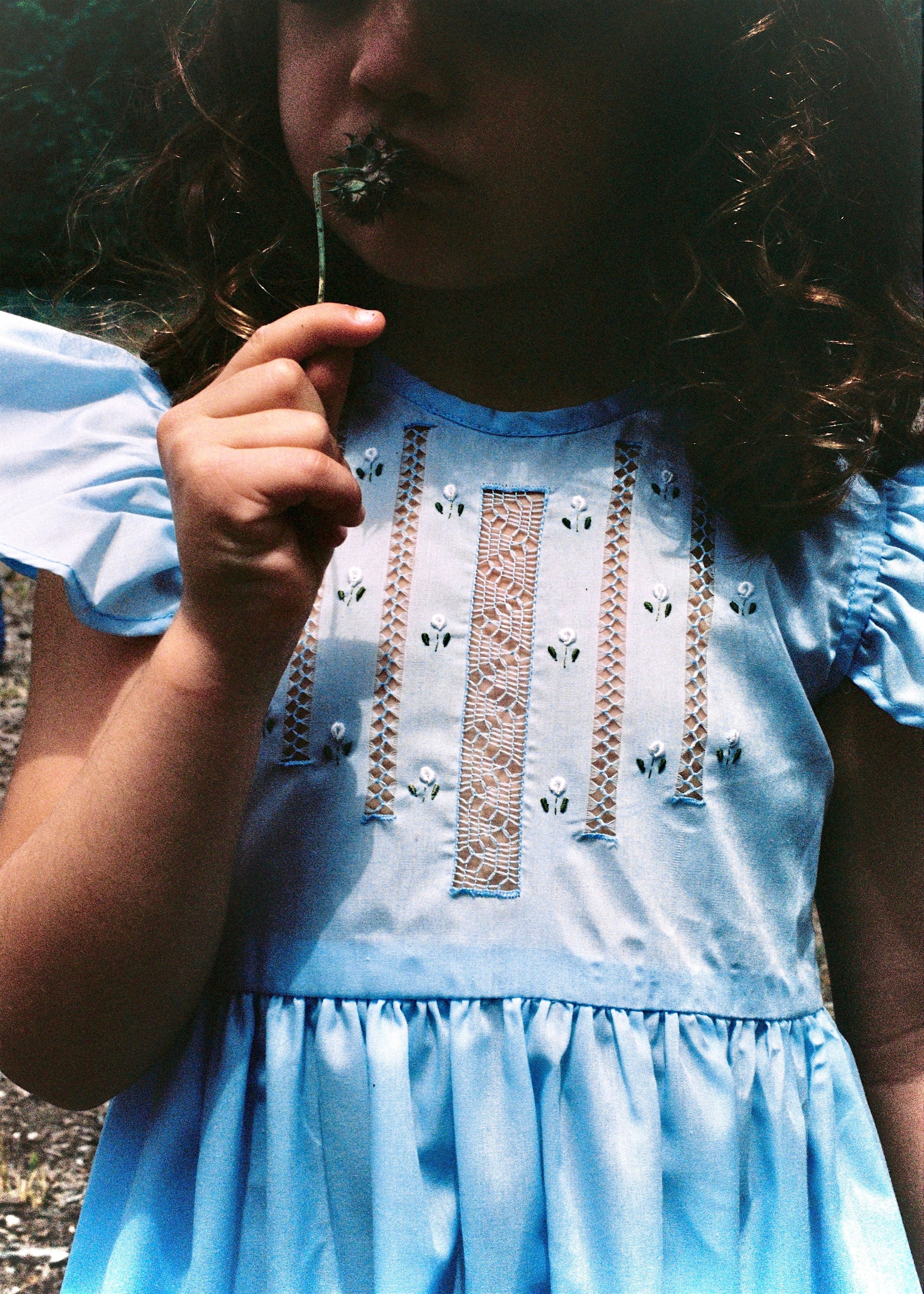 Alicia Dress Celeste